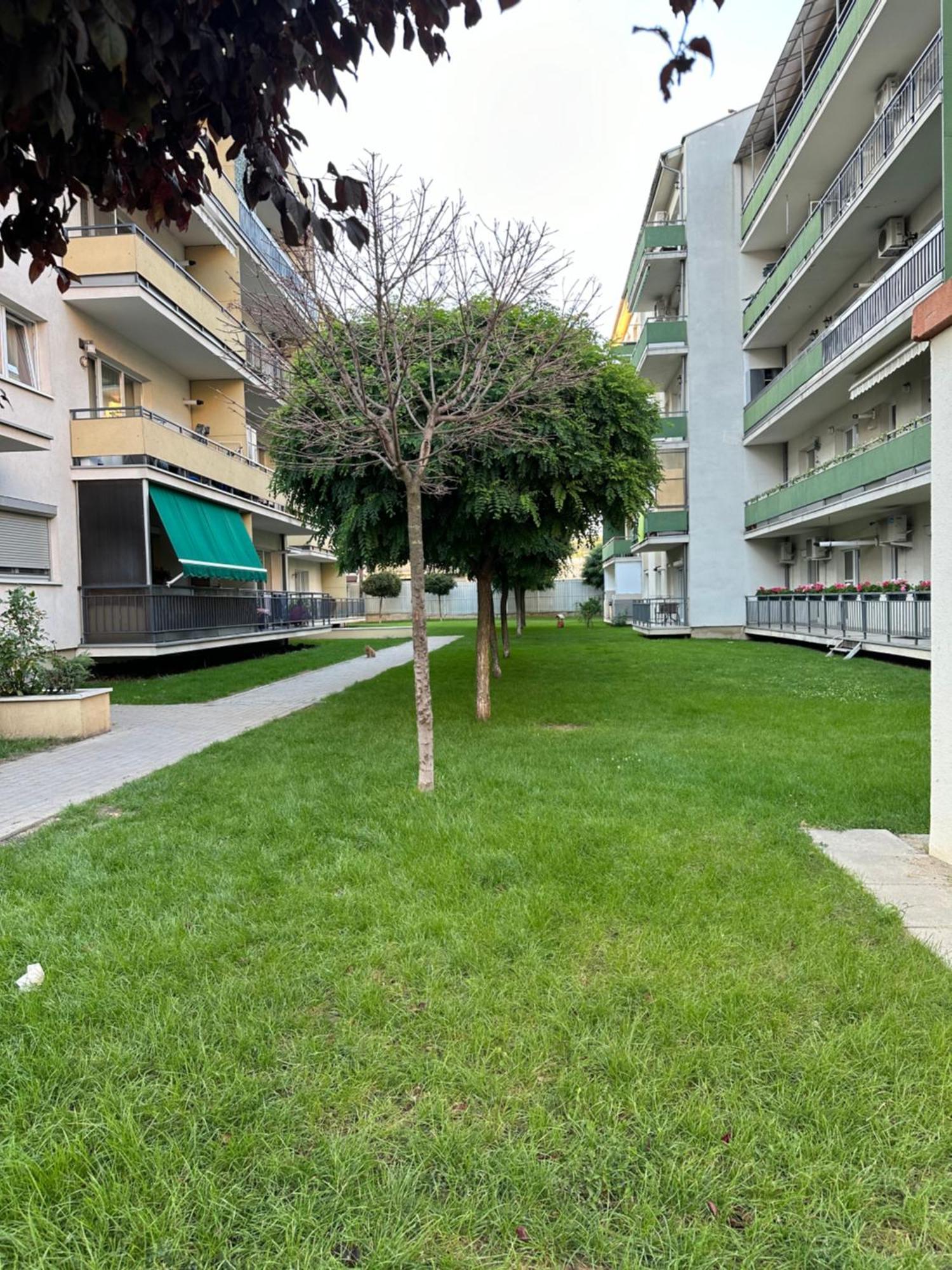 Junior Residence Studio Kluż-Napoka Zewnętrze zdjęcie